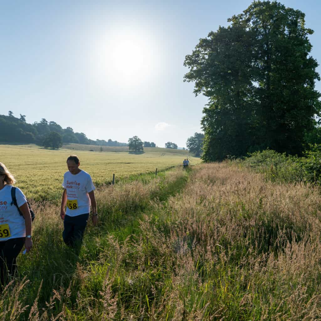 Sunrise walk in fields