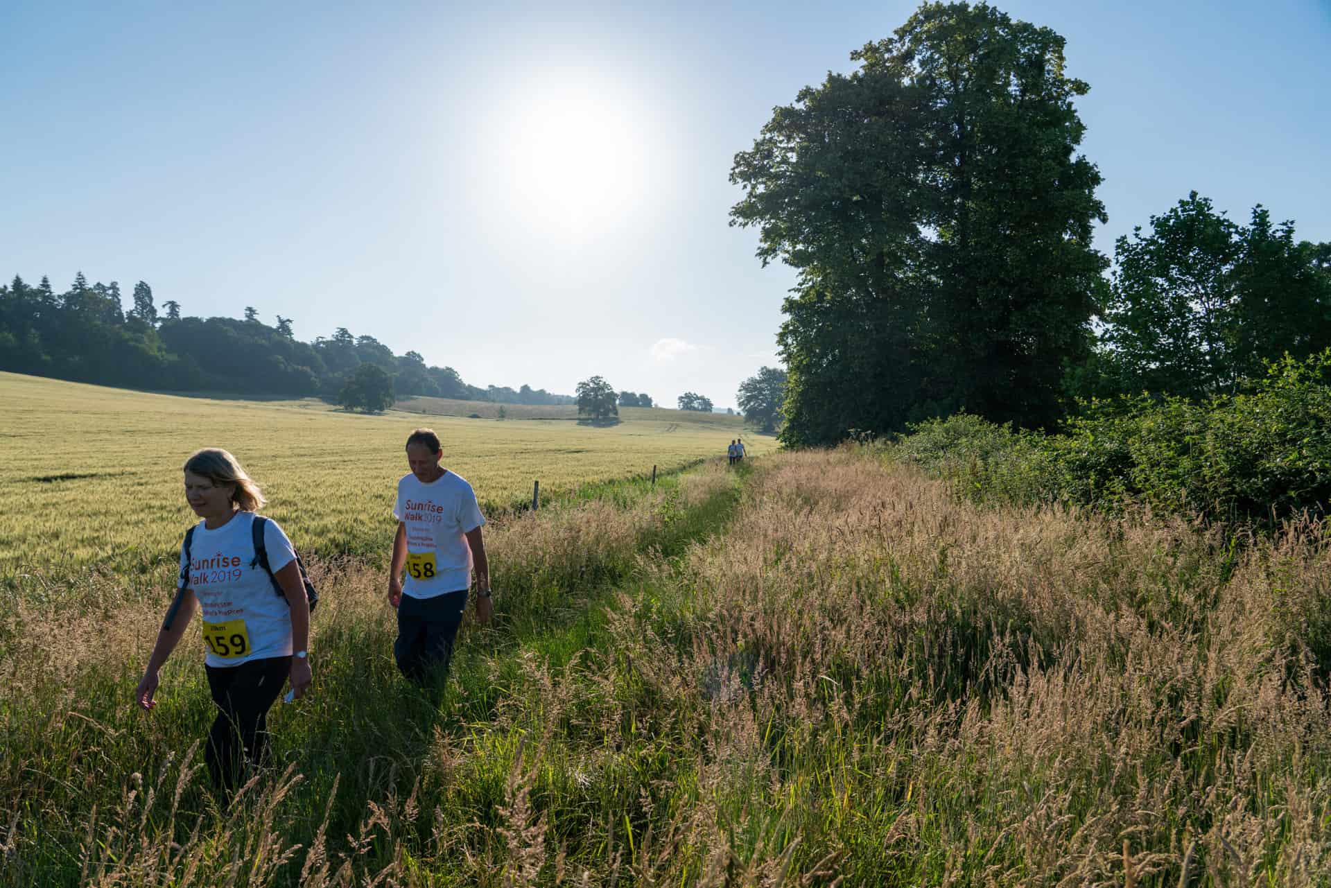 Sunrise walk in fields