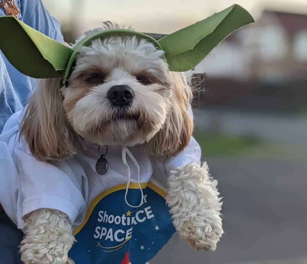 Yoda Rocket
