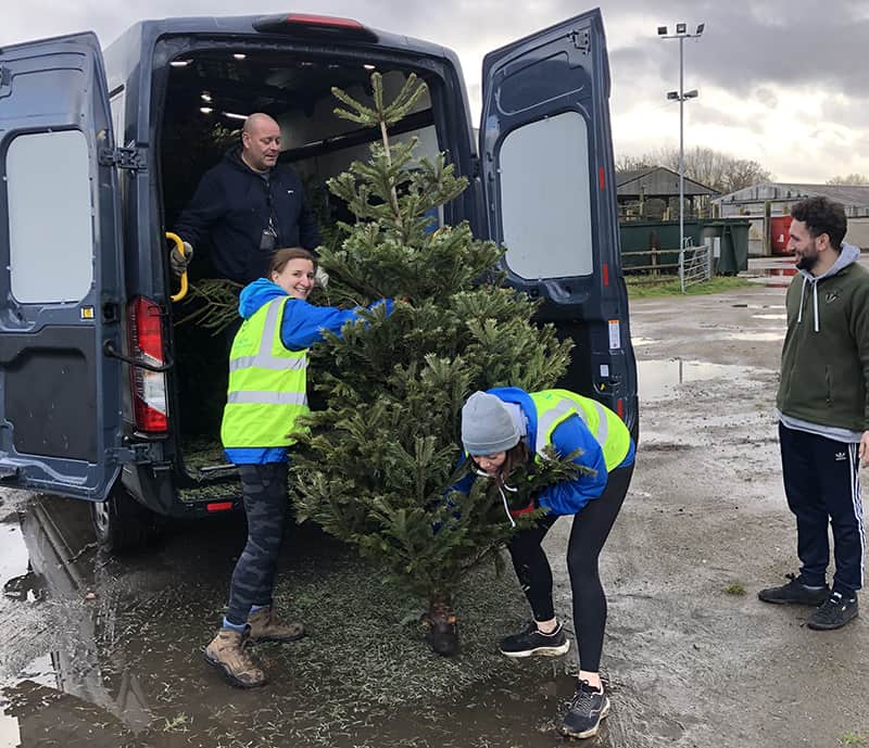 trees being unloaded at Merrist Wood