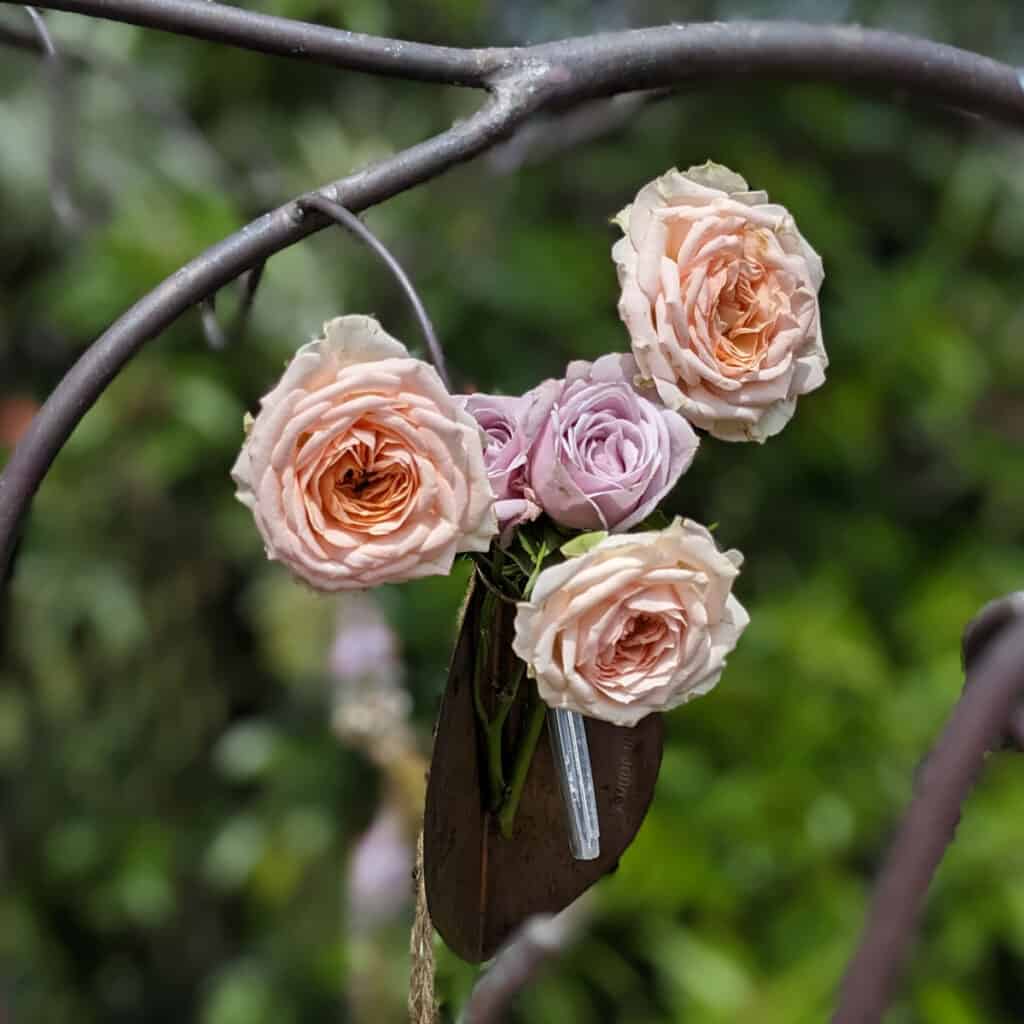 Roses attached to a bronze leaf in our memory garden.