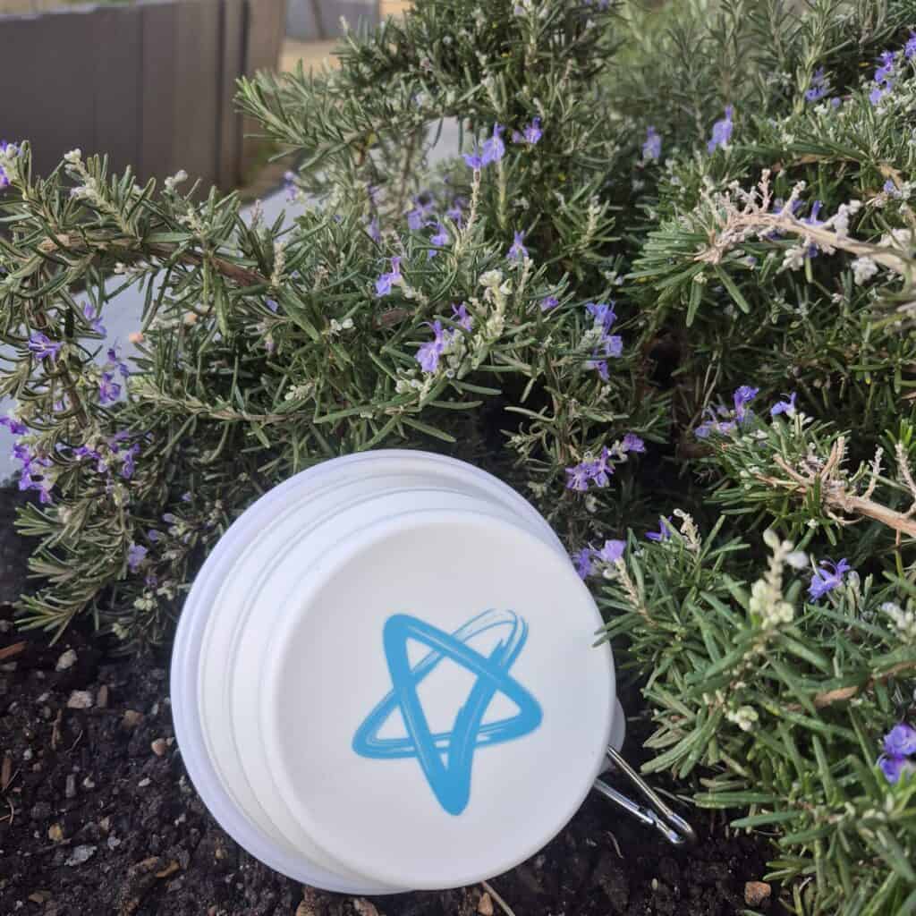 A white dog bowl with a shooting star on it